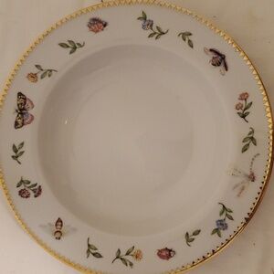 8.5" Bugs and Butterflys Bowl